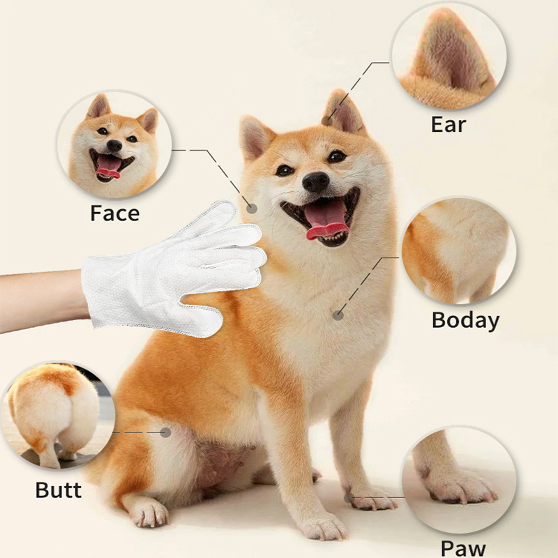 Puloso pelliccia Deodorazione Glove per animali domestici usa e getta